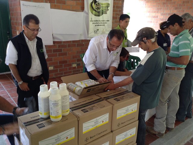Productores de plátano del Eje cafetero agradecen al ICA la entrega de insumos para controlar la Mosca Blanca