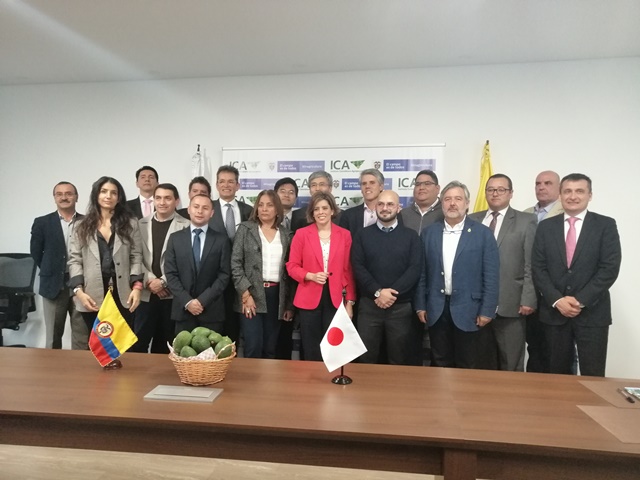 El Ministerio de Agricultura de Japón, MAFF, oficializó la apertura del mercado japonés para las exportaciones de aguacate Hass de Colombia