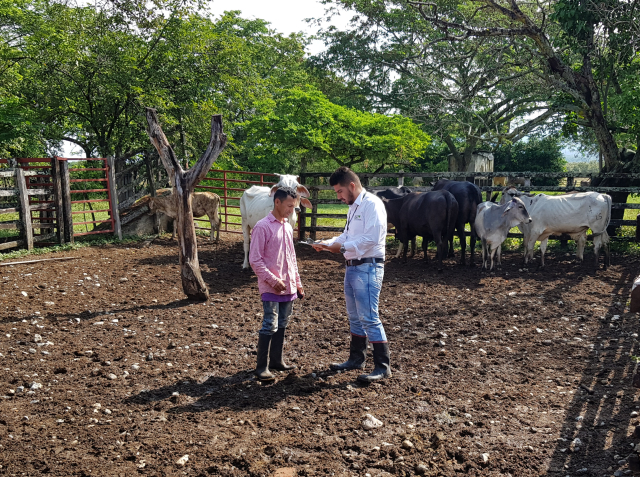 El ICA verifica la sanidad de la producción ganadera huilense