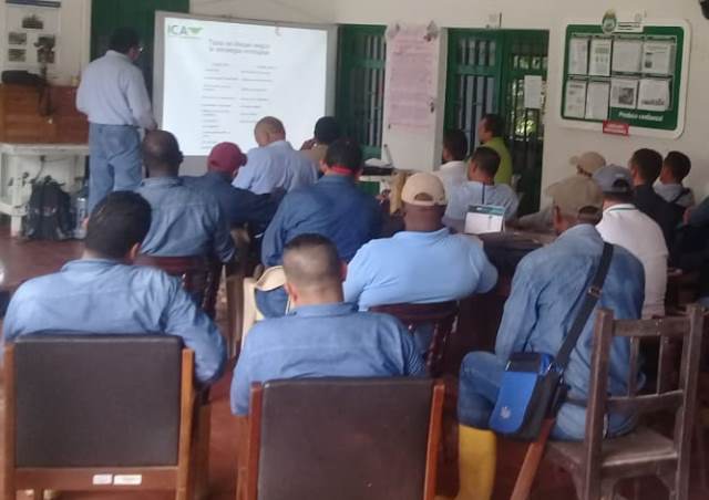 Productores de palma de aceite en Cundinamarca, registraron predios ante el ICA 