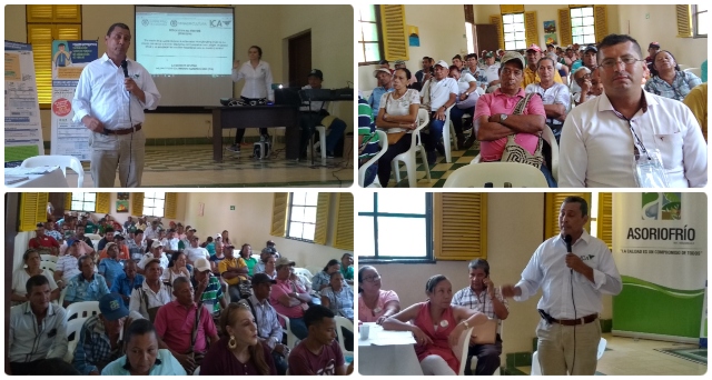 El ICA y productores de cítricos del Magdalena fortalecen sus capacidades para la erradicación del HLB 