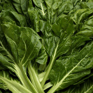 ICA busca reglamentar la importación y exportación de plantas y productos vegetales