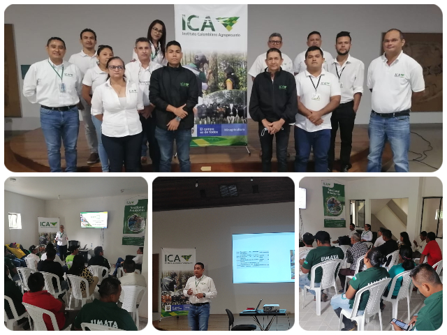 La seccional del ICA en Amazonas le rinde cuentas a su región