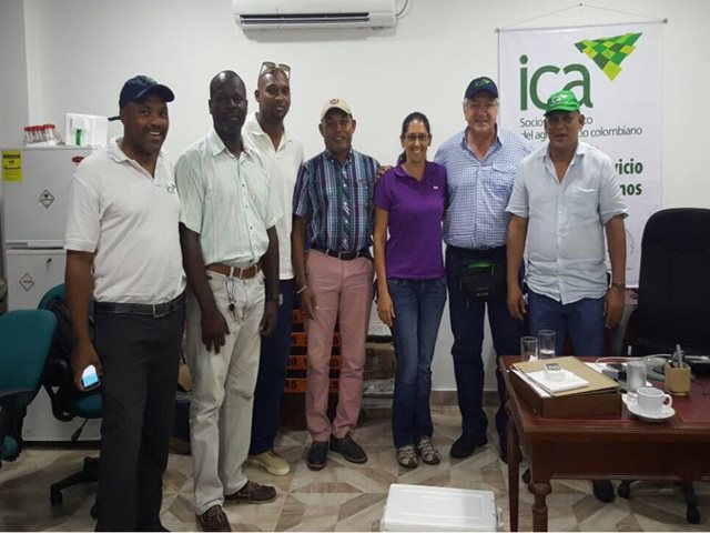 El ICA y la comunidad de San Andrés unidos por la palma de coco 
