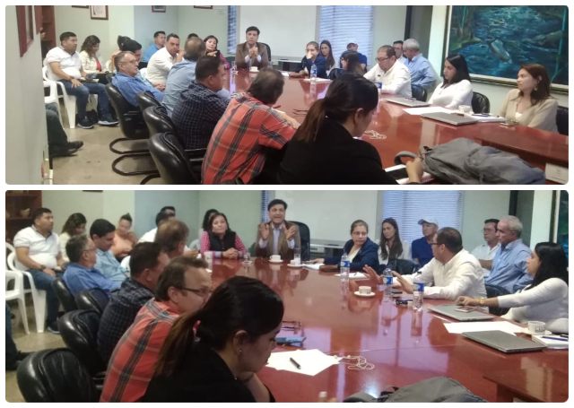 La producción de aguacate Hass en el Quindío, responsable con el medio ambiente