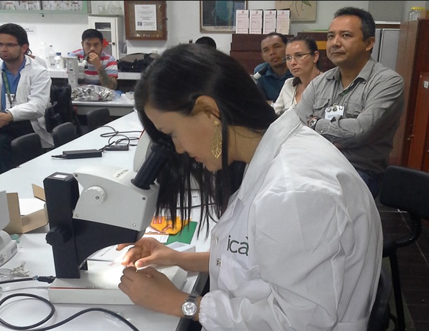 El ICA, a través de su laboratorio de diagnóstico fitosanitario en el Atlántico, brinda un mejor servicio a sus usuarios