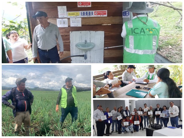 En Boyacá se fortalecen los procesos de certificación en Buenas Prácticas Agrícolas y Ganaderas 