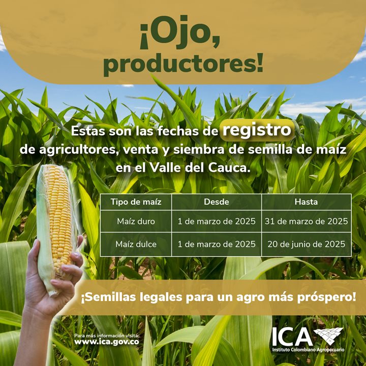 Productores-y-Productoras-Venta-de-Maiz-Redes-1-2.jpg