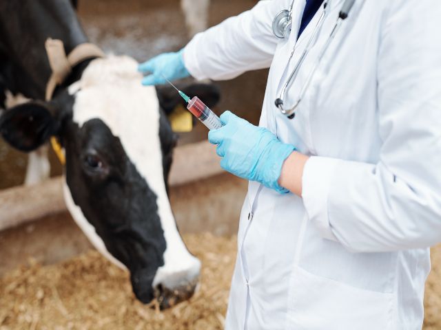 Uso responsable de antibioticos para animales.