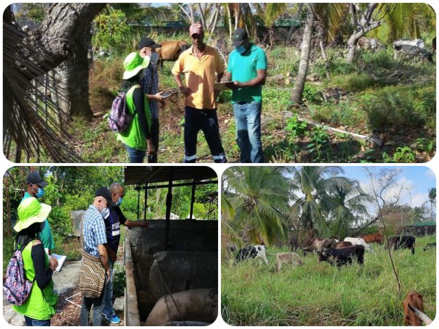 Visita de inspección, vigilancia y control a predios pecuarios de alto riesgo realiza el ICA San Andrés.