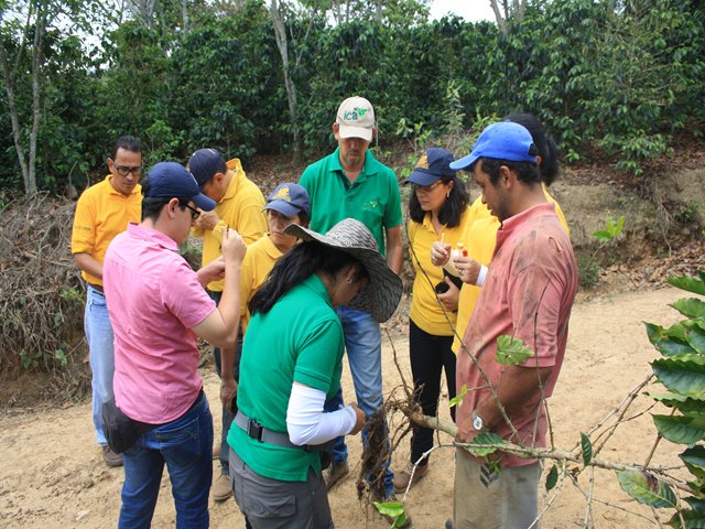 El ICA adelanta acciones para prevenir la Cochinilla 