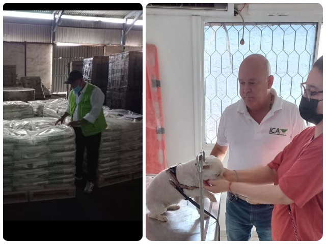 En La Guajira, el ICA vela por la exportación de productos sanos y de calidad