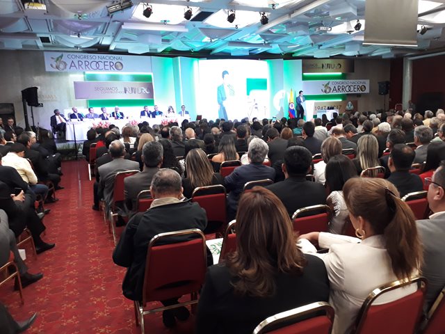 En el Congreso Nacional Arrocero el ICA reafirma su compromiso con el sector 