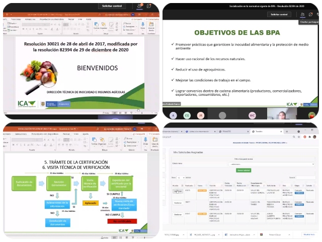 Socialización virtual sobre BPA.