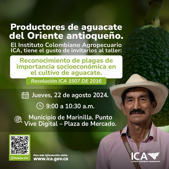 AGUACATEANTIOQUIA.jpeg