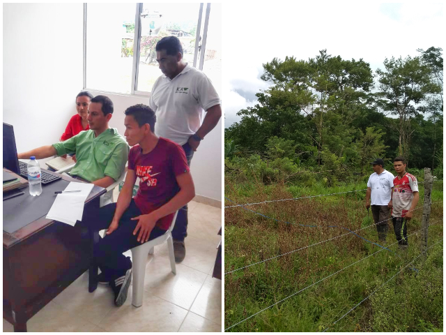 El ICA articulado con la alcaldía de Piamonte para proteger la sanidad pecuaria de la región