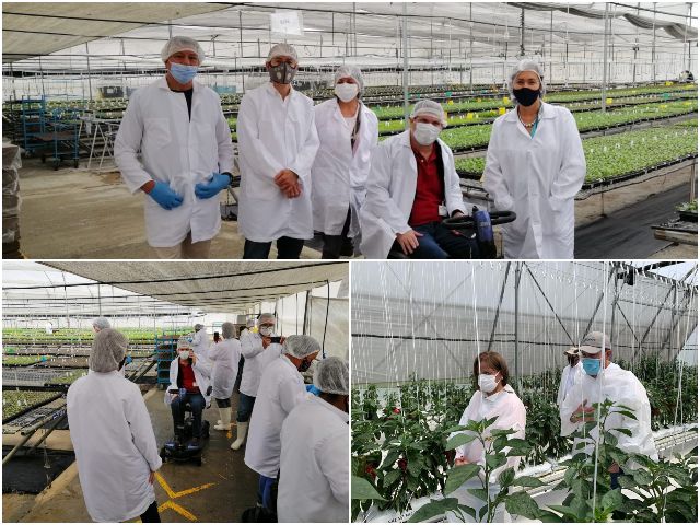 Visita de una comisión del ICA a la empresa Darwin Colombia.