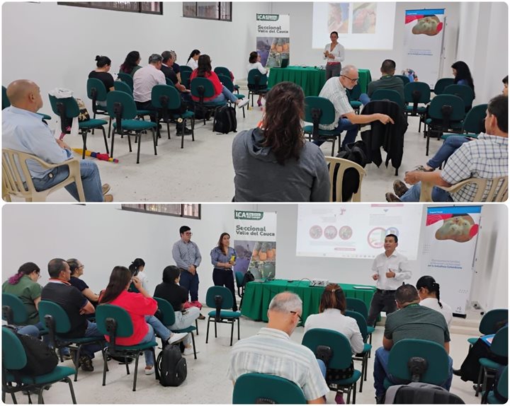 ICA-VALLEDELCAUCA-1142025-1.jpg