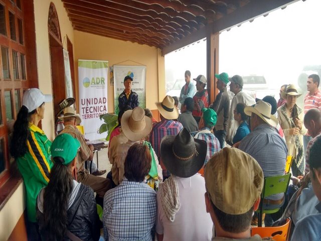 204 agricultores de Caldas se educan en manejo de plagas y enfermedades del plátano