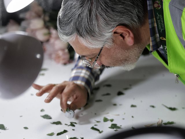 Inspección en origen. 