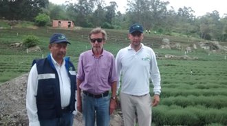 aromaticas-2-(1).jpg
