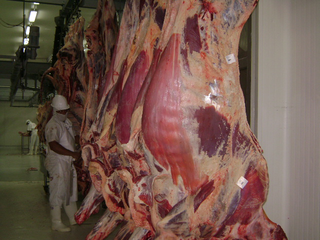 Rusia abre sus puertas a la carne bovina colombiana