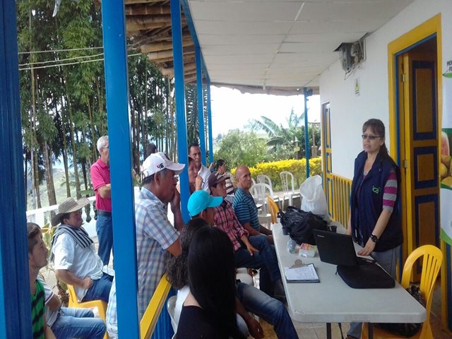 Productores de Aguacate Hass se capacitan en protocolos de admisibilidad para exportar a los EEUU