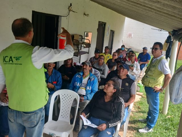 El ICA fortalece la prevención de riesgos fitosanitarios en cultivos de aguacate en Santander