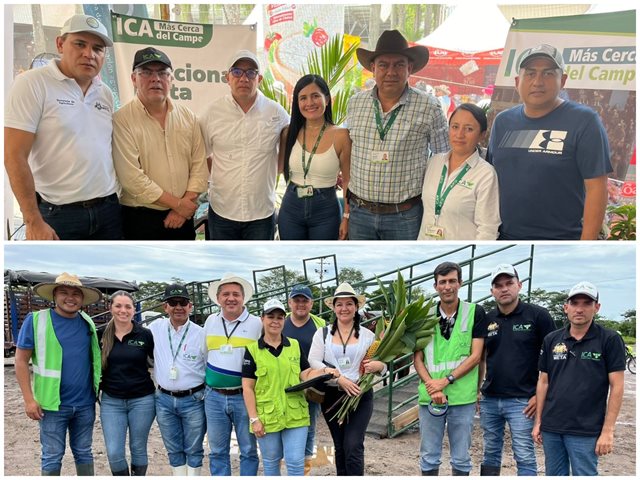 Expomalocas 2024, cerca de 1.400 animales han ingresado a la feria que reúne la mejor oferta de la Orinoquia colombiana 