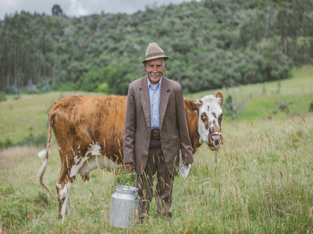 En el Cauca el ICA garantiza el abastecimiento de productos pecuario