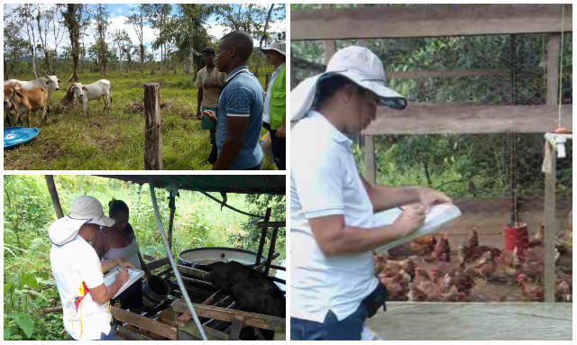La sanidad animal en el Chocó, prioridad para el ICA