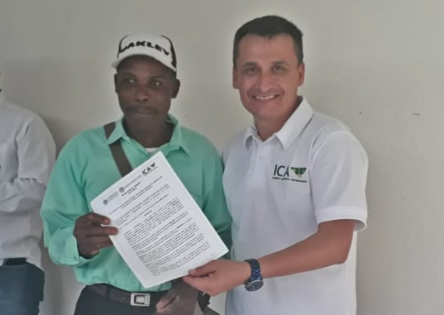 28 productores vallecaucanos de plátano ingresan a las grandes ligas para exportación