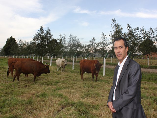 Minagricultura, ICA  y Fedegan implementan plan de alimentación bovina 