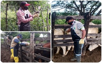 Ampliación ciclo de vacunación