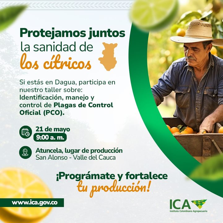 SAN-ALONSO-VALLE-DEL-CAUCA.jpeg