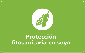 Soya