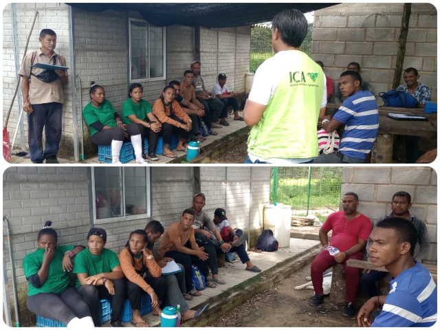 Productores agrícolas de La Guajira se capacitan en el uso de semillas certificadas