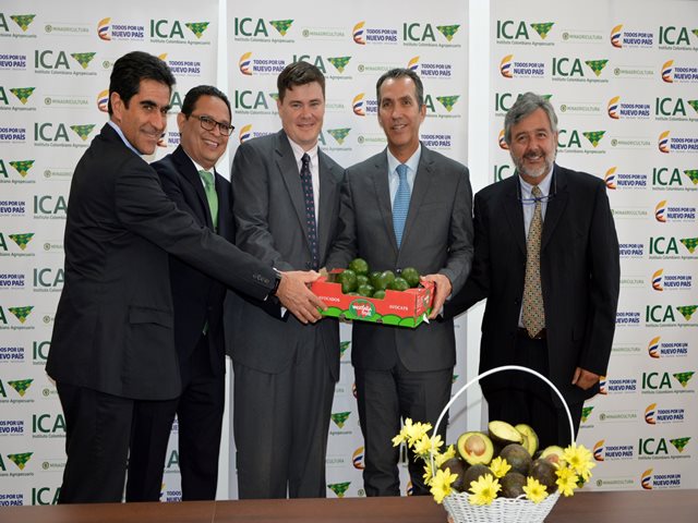 MinAgricultura agiliza trámite final para que 2 mil productores de aguacate puedan exportar a EEUU 