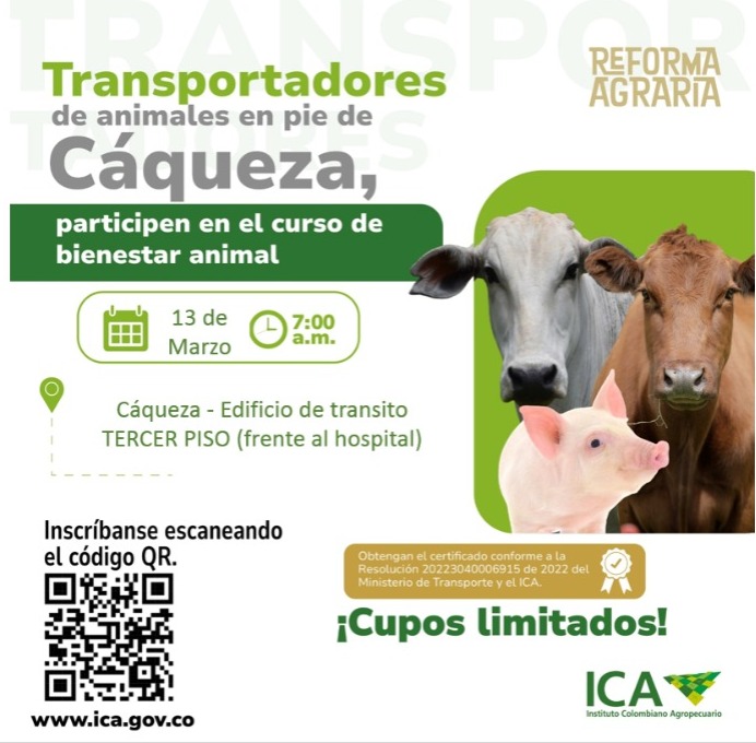 CAQUEZA.jpeg