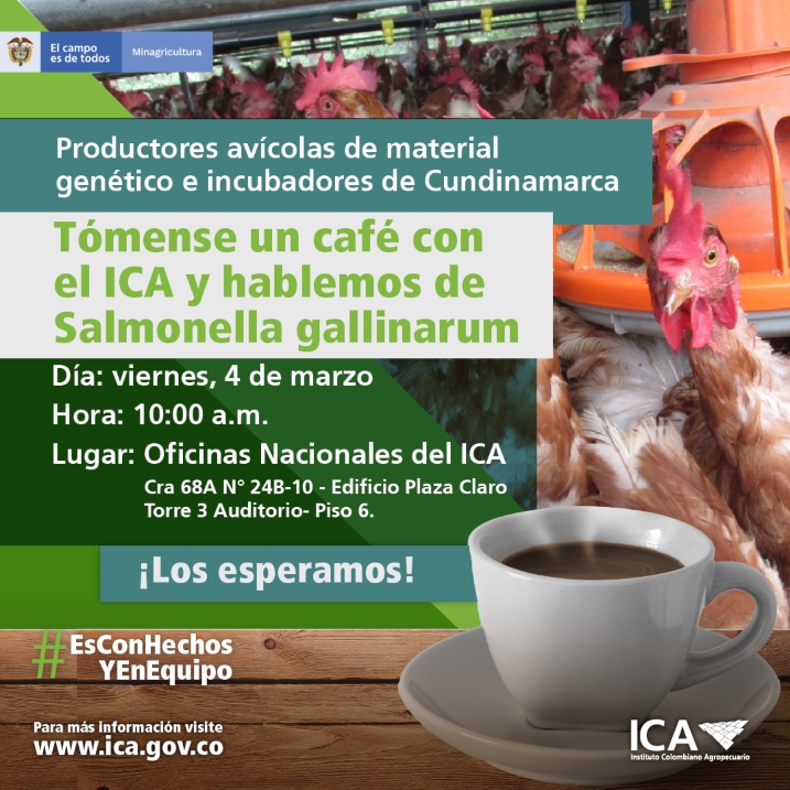 Instagram-Conversatorio-Salmonella-gallinarum-1.jpg