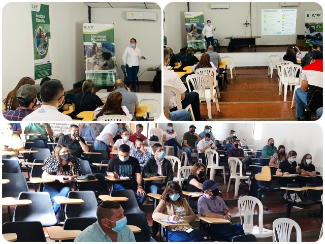 Producción y exportación de productos agrícolas desde Risaralda, fácil y seguro    