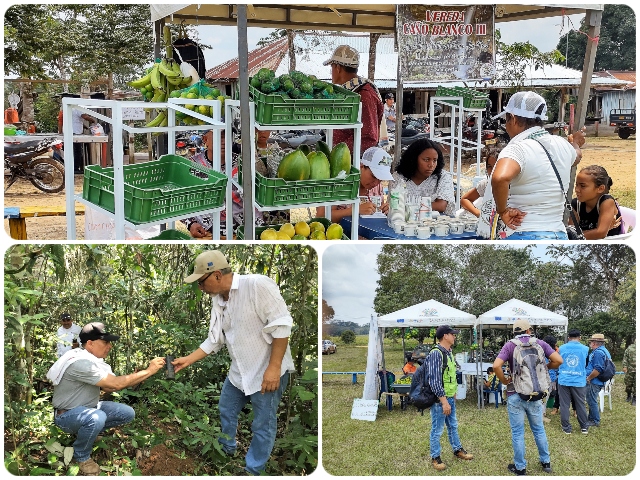 El ICA participó en la 1ra muestra agroecológica del Guaviare 