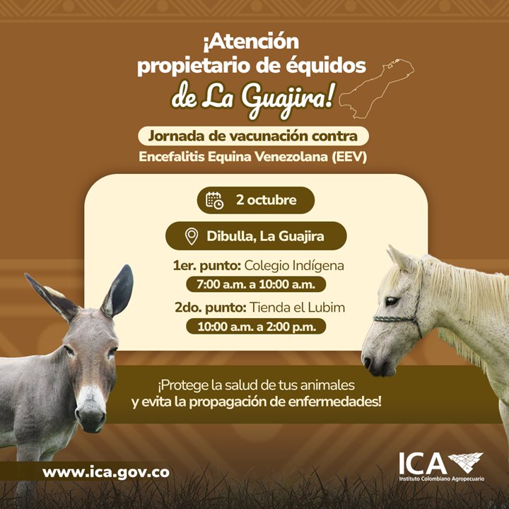 EQUIDOS-CUADRADASEGUNDA-PART.jpg