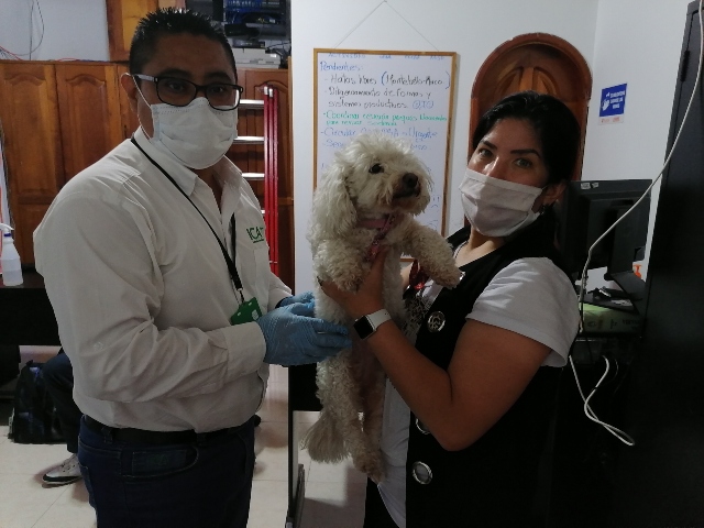 Foto-ICA-Seccional-Amazonas-mascotas-CS.jpg Foto-ICA-Seccional-Amazonas-mascotas-CS.jpg