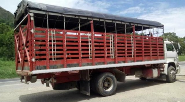 El ICA logró la detención de 20 bovinos movilizados con Guía de Movilización Interna de Animales adulterada
