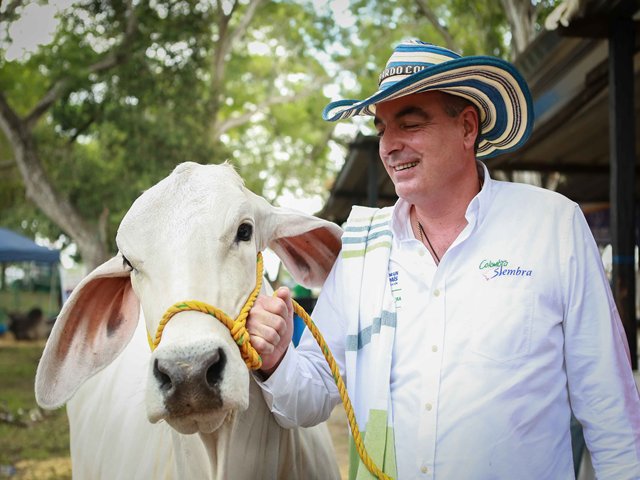 Georgia abrió el mercado para la carne bovina colombiana