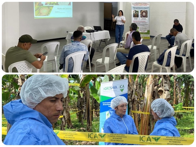 Foto-ICA-Participantes-en-el-taller-1.jpg