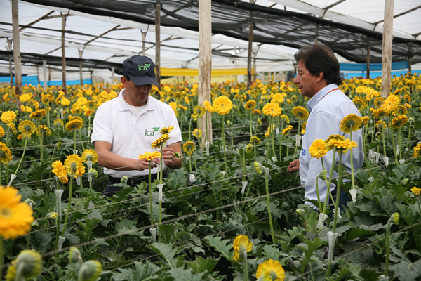 El ICA capacitó 300 floricultores en Mosquera Cundinamarca