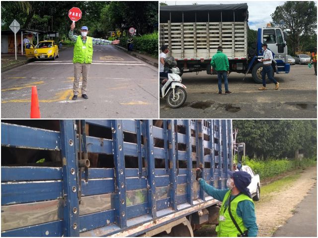 El ICA controla la movilización de animales en Caquetá.