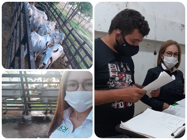 El ICA Vichada realizó visita de vigilancia y control sanitario en planta de beneficio animal en Puerto Carreño